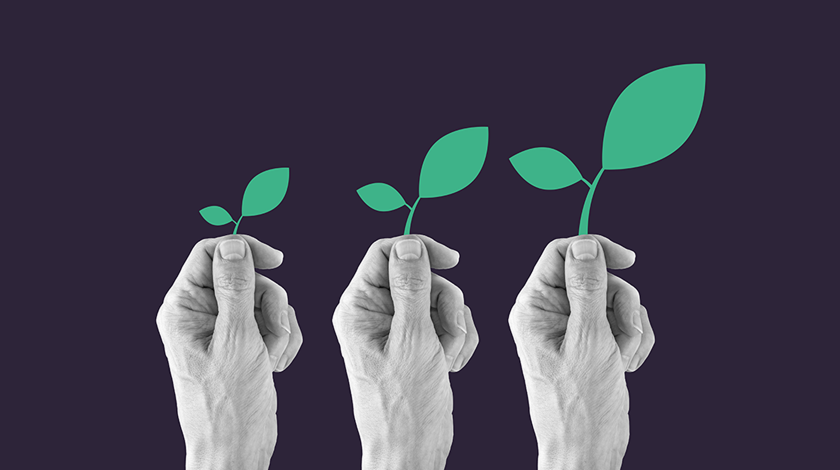 Evergreen Evolution: Asia’s Shift to Flexible Funds and Royalty Investments