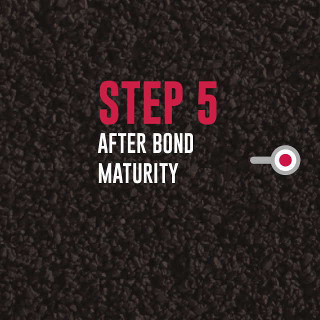 Step 5: After Bond Maturity Step 5: After Bond Maturity